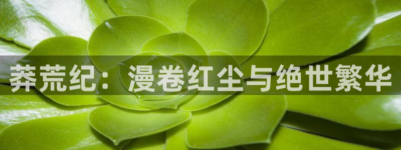 onfun动漫：莽荒纪：漫卷红尘与绝世繁华