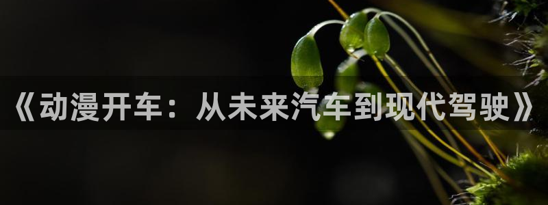 omofun动漫共和国下载最新版本：《动漫开车：从未来汽车到现代驾驶》
