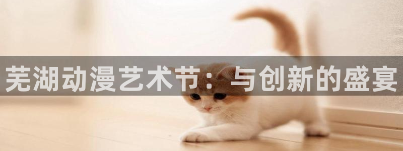 omofun动漫免费观看官网：芜湖动漫艺术节：与创新的盛宴
